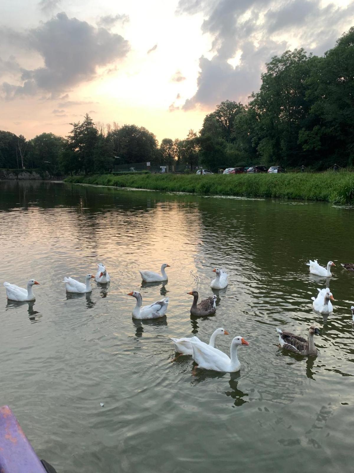 Nuit Insolite A Bord D'Une Peniche, 6 Personnes Bergues Luaran gambar